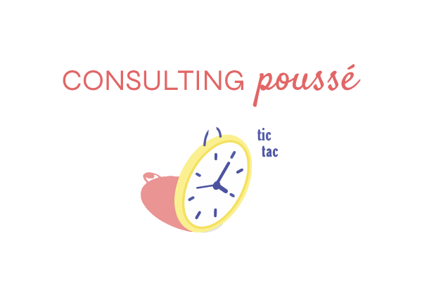 Forfait de 6h d’entretien, conseils et suivi sur un mois maximum.